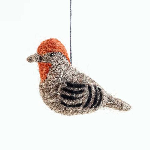 Felt House Finch